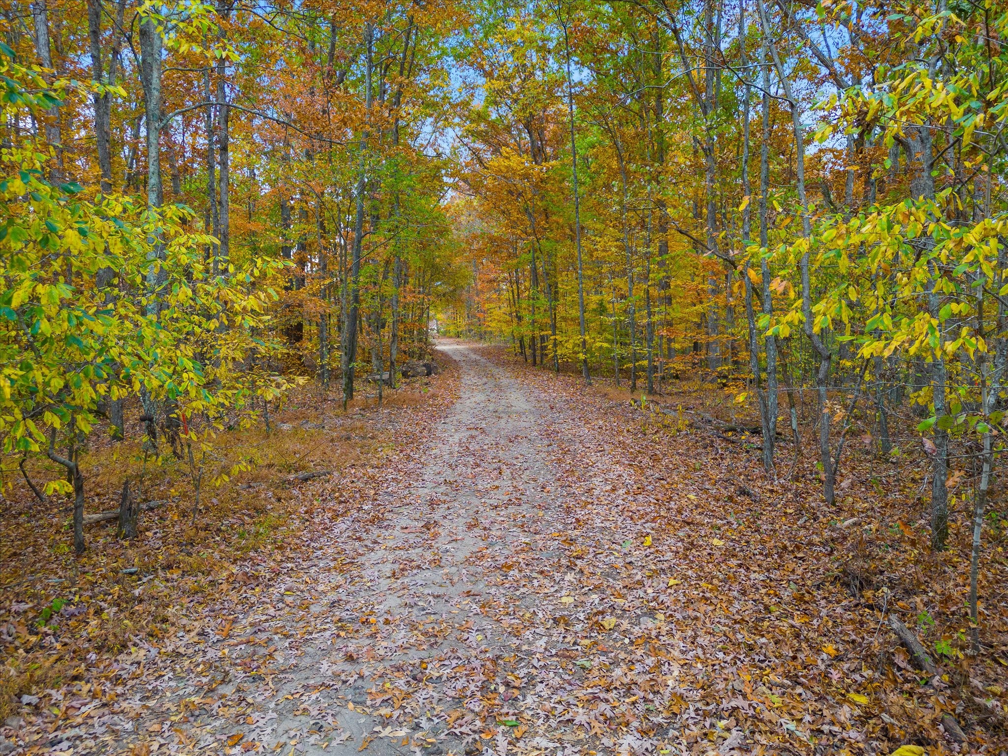 0 Wallace Road, Fairview, TN, 37062