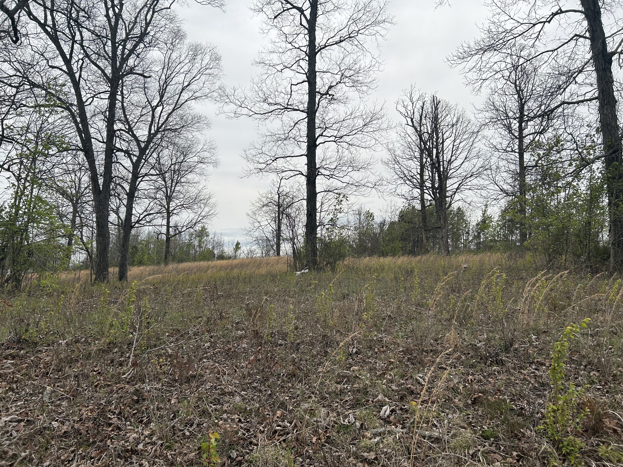 603 S Wall St, Shelbyville, TN, 37160